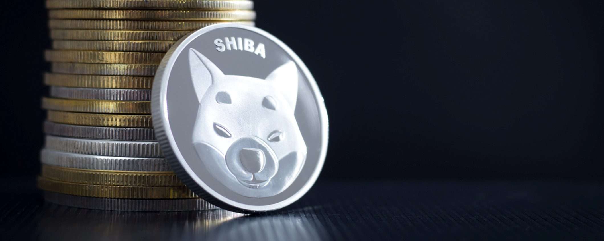 Quanto varrebbero 100$ se avessi investito subito in Dogecoin, Shiba Inu o Pepe?