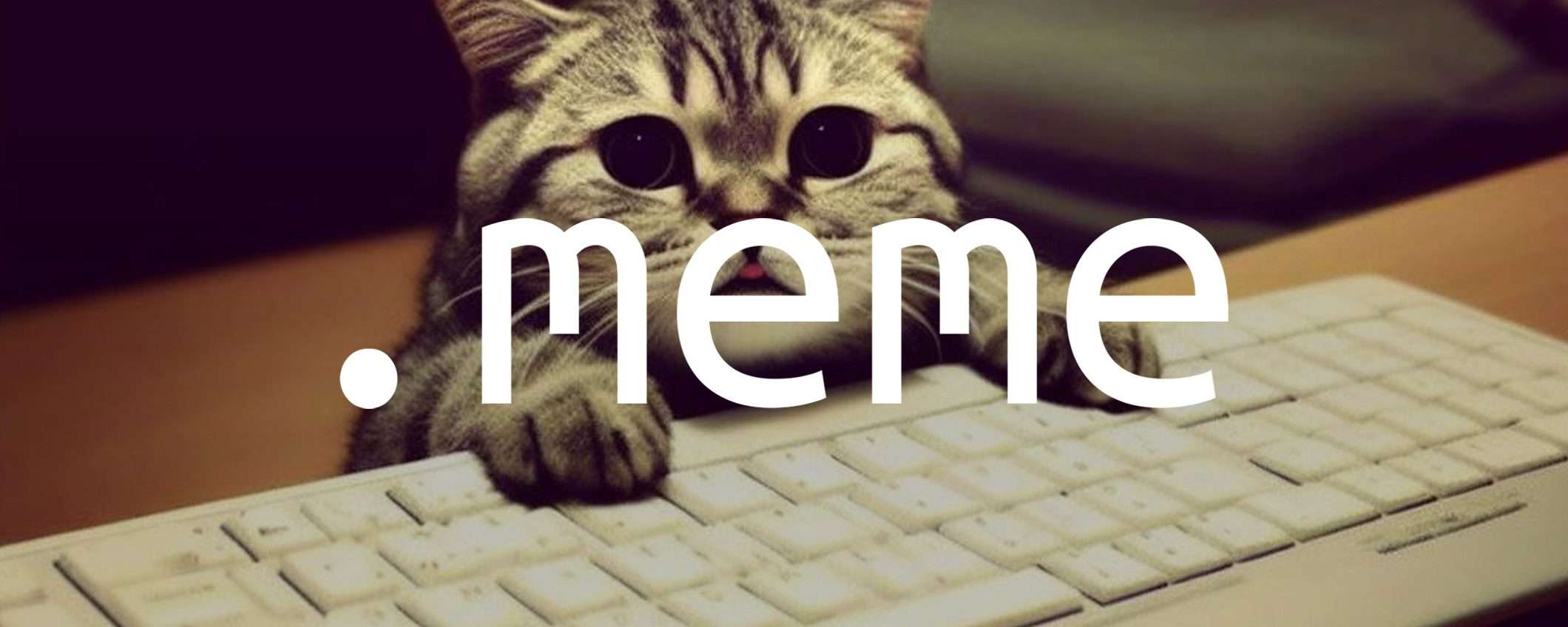 Sono arrivati i domini di primo livello .meme