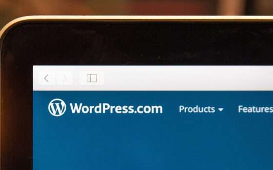 WordPress 6.4 è disponibile: tutte le novità