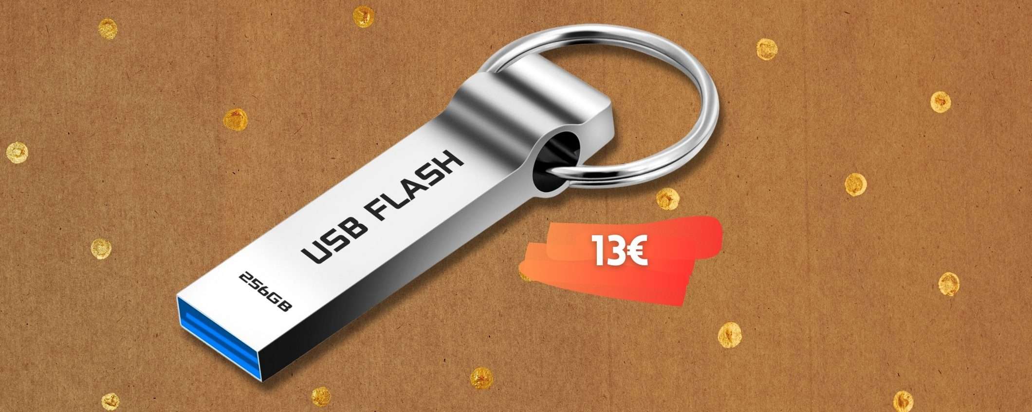 Chiavetta USB 256GB 3.0 in metallo per file al sicuro e A SPASSO (13€)
