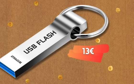 Chiavetta USB 256GB 3.0 in metallo per file al sicuro e A SPASSO (13€)