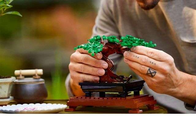Set LEGO Albero Bonsai