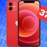 iPhone 12 Ricondizionato a 379,99 euro: OFFERTA TOP di Amazon