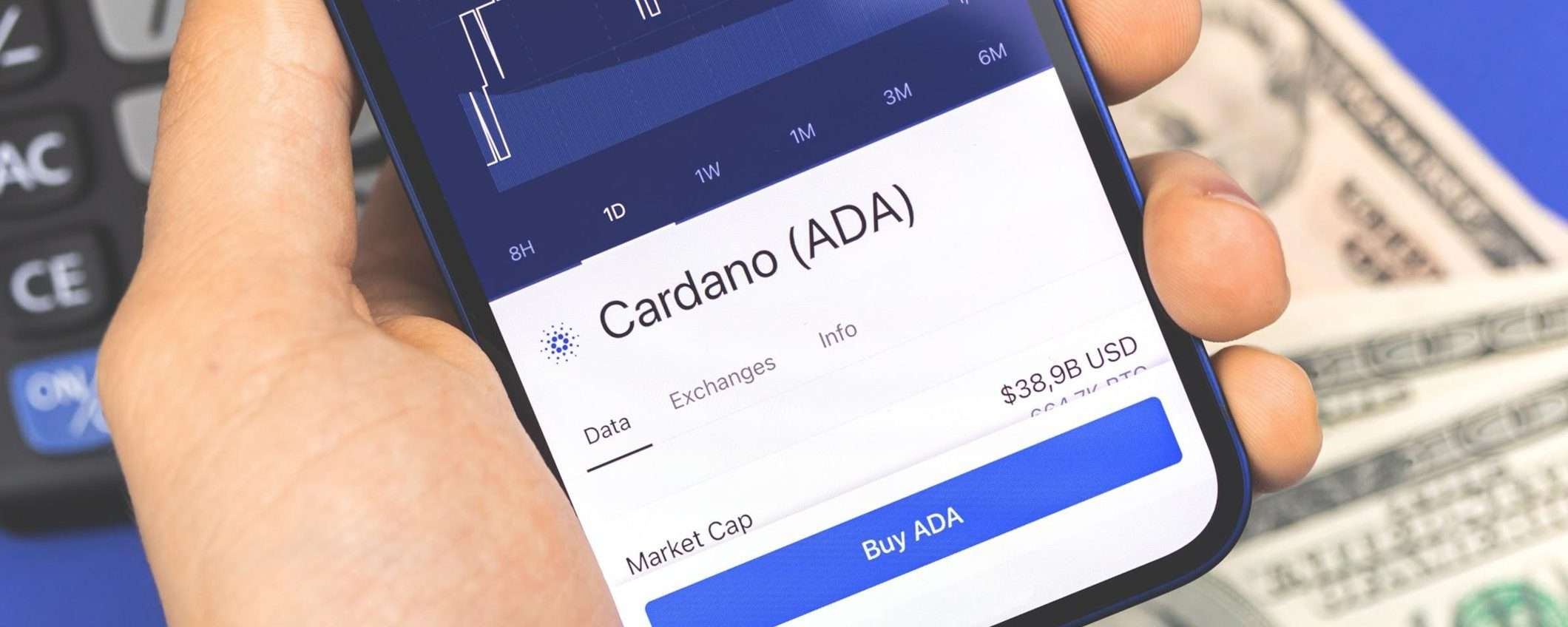 Un analista prevede l'impennata dei prezzi di Cardano e Borroe Finance