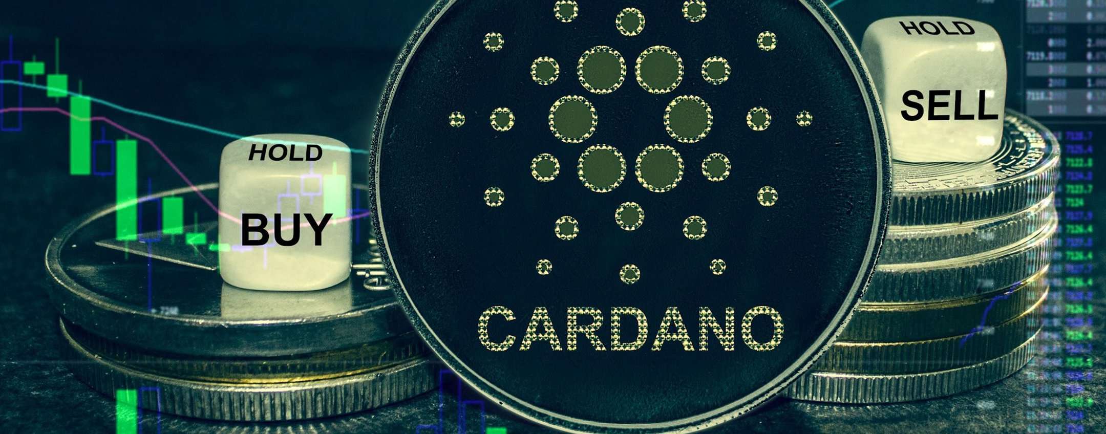 Comment Borroe Finance pourrait surpasser le succès de Cardano et Polygon - La Crypto Monnaie