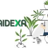 Conto deposito X Risparmio: risparmia al sicuro con il 4,75%