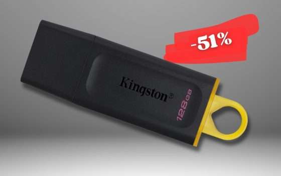 TORNA disponibile con prezzo STRINATO: Chiavetta USB 128GB 3.2 a 9€