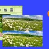 PixelApp: la suite completa per editare le tue immagini