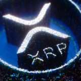 Bitgolder ribassista per XRP, gli investitori su NuggetRush e Shiba Inu