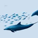 ControCorrente: fino al 3,50% sulle somme libere e sempre disponibili