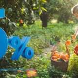 SelfyConto: il conto più vantaggioso per risparmiare senza vincoli