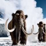 Polemiche sui tempi di Sora: un'ora per un video di 1 minuto