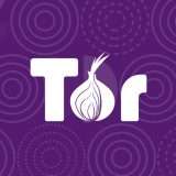 Tor Browser: Cos'è, Come Funziona e Come Usarlo in Sicurezza