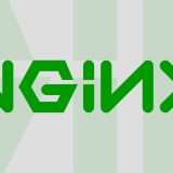 nginx perde una colonna portante (che lancia freenginx)