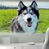 Video spaziali in arrivo su Meta Quest: sfida aperta a Vision Pro