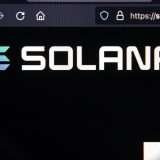 Solana (SOL) è il cavallo nero del mercato, mentre il declino di Bonk continua