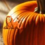 Conto Corrente Arancio: 5% di interesse se lo apri entro l'11 maggio