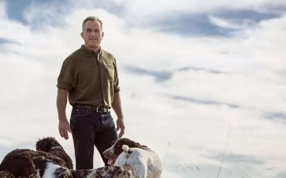 Chi ha disattivato il chatbot di Robert Kennedy Jr.?