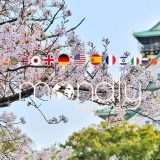 Mondly, la soluzione per imparare il giapponese in poco tempo