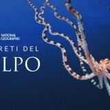 I segreti del polpo: la docu-serie è pronta per il debutto in streaming