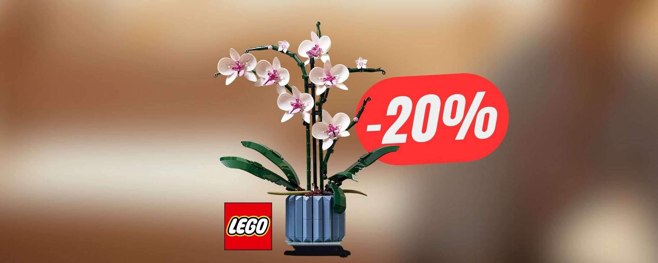 L'orchidea LEGO è la pianta ideale da avere in casa! (ed è SCONTATA)