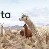 Llama 3 di Meta in arrivo entro maggio