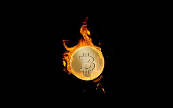 Batti l'Halving di Bitcoin sul tempo: scegli Coinbase