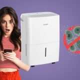 Deumidificatore Intelligente Comfee: elimina umidità e muffa