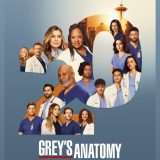 Guarda Grey's Anatomy 20 su Disney+ con 2 mesi GRATIS