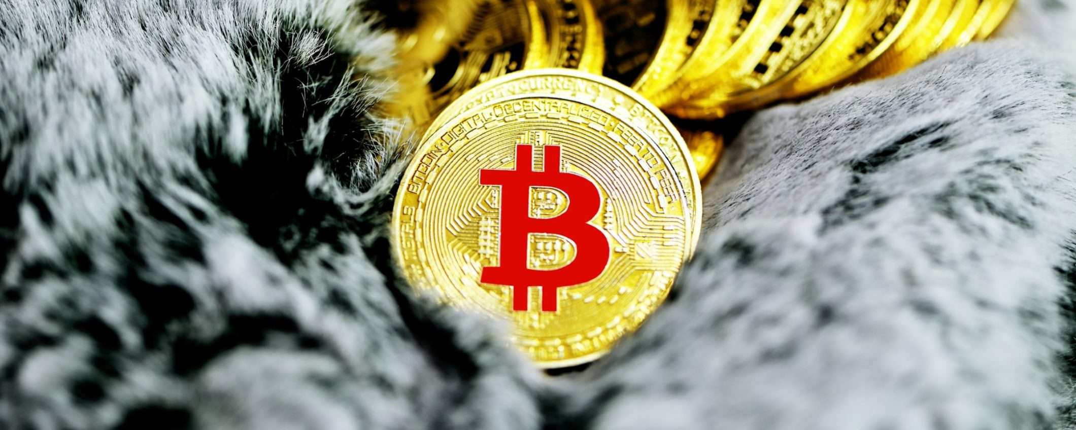 Per l'halving di Bitcoin sta per scattare l'ora X: le ultime previsioni