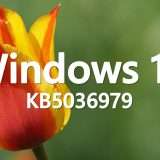 Windows 10 KB5036979 spinge gli account Microsoft