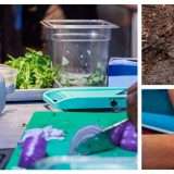 Speaker Bluetooth Bose Soundlink Flex in grande offerta su Amazon