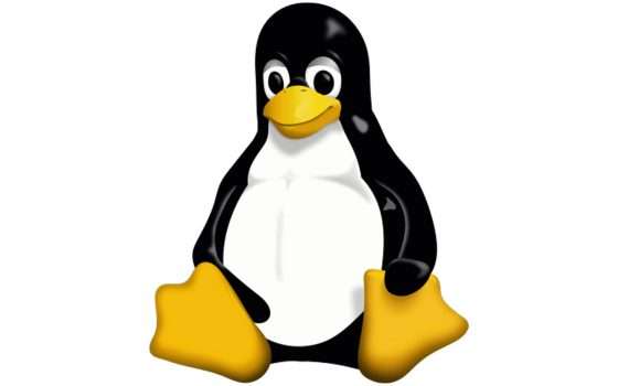 Che kernel Linux usa Linus Torvalds? Ecco la risposta