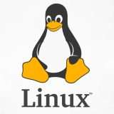 Arriva Kernel Linux 6.9: le nuove funzionalità