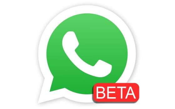 WhatsApp: si potranno menzionare i contatti negli stati