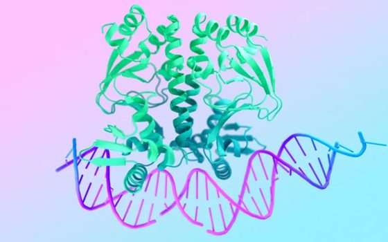 DeepMind crea AI in grado di modellare il DNA e l'RNA