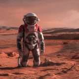 Una città su Marte entro il 2050, il piano di Elon Musk