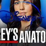 Disney+: stagione 20 di Grey's Anatomy gratis per 2 mesi