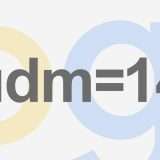 Google: il parametro udm=14 per ricerche senza risultati IA
