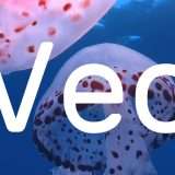 Come accedere a Veo dall'Italia e generare video IA