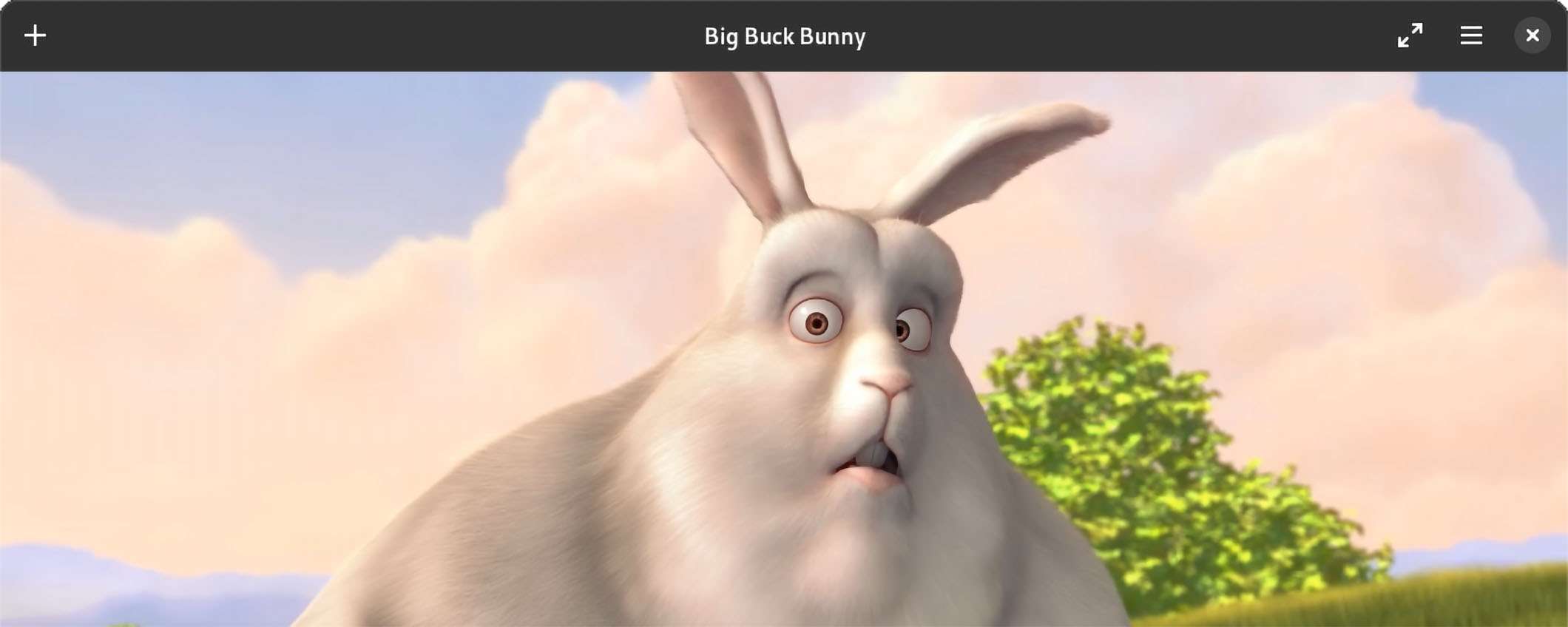 Celluloid: il lettore multimediale GTK si aggiorna su Linux