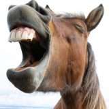 L'AI può scrivere battute divertenti? I risultati di uno studio