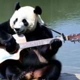 Sora chi? Kling è il nuovo generatore di video AI di cui tutti parlano