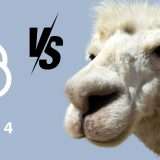 Llama 3 vs. GPT-4: qual è il migliore?