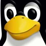 Il kernel Linux 6.10 sarà rilasciato ufficialmente entro metà luglio