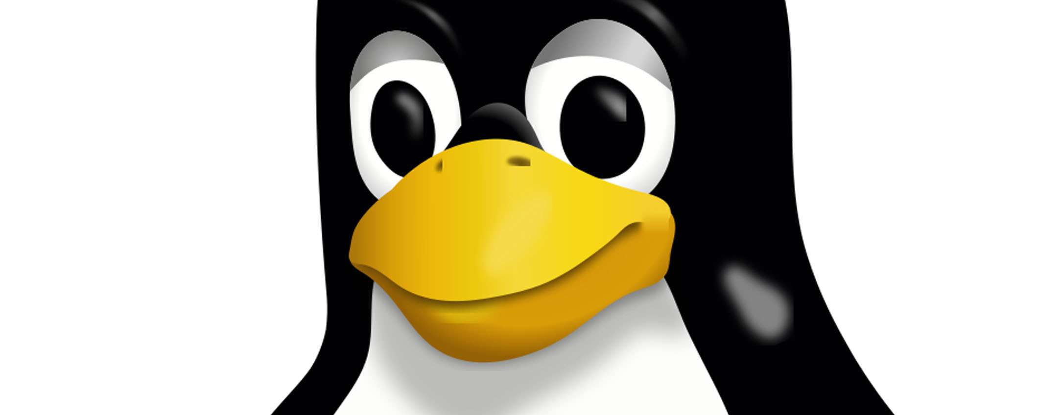 Il kernel Linux 6.10 sarà rilasciato ufficialmente entro metà luglio
