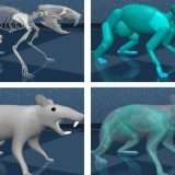 Un topo virtuale con un cervello AI potrebbe significare robot migliori