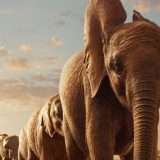 Video immersivi su Apple TV con Vision Pro