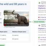 Bing previews di Microsoft è la risposta alle AI Overview di Google