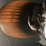 SpaceX Falcon 9 esplode in orbita, voli sospesi (update)